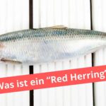 Ein Hering liegt auf dem Tisch. Darunter steht die Frage: Was ist ein "Red Herring"?
