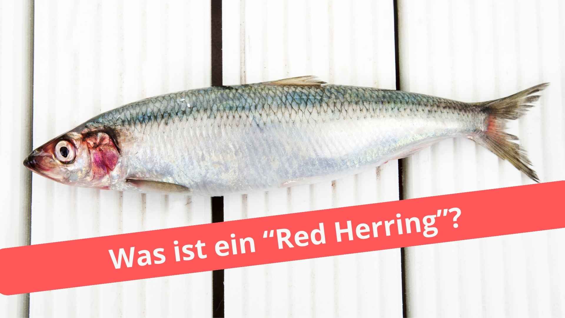 Ein Hering liegt auf dem Tisch. Darunter steht die Frage: Was ist ein "Red Herring"?