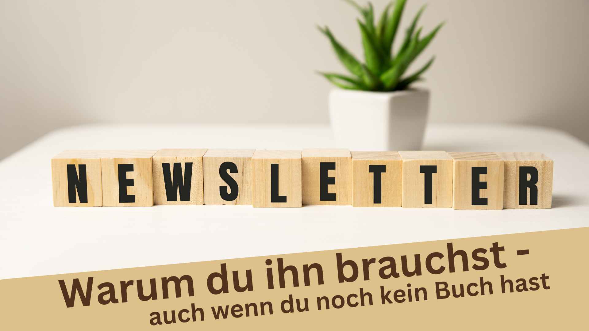 Das Wort Autoren-Newsletter steht vor einer Pflanze auf einem Tisch.